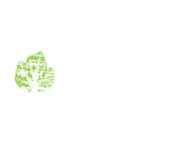 Riflessi Verdi